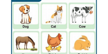 Làm sao chọn game tiếng anh cho trẻ em? Bí quyết giúp bé học mà chơi vui vẻ.