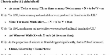 Hướng dẫn cách miêu tả biểu đồ tròn bằng tiếng anh cho người mới bắt đầu cực dễ.