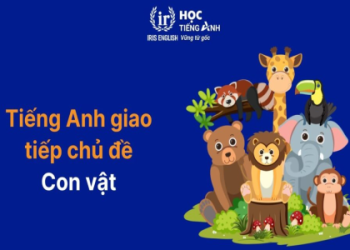 Dạy tiếng anh giao tiếp cho trẻ em theo chủ đề hiệu quả? Bật mí 5 mẹo cực hay!