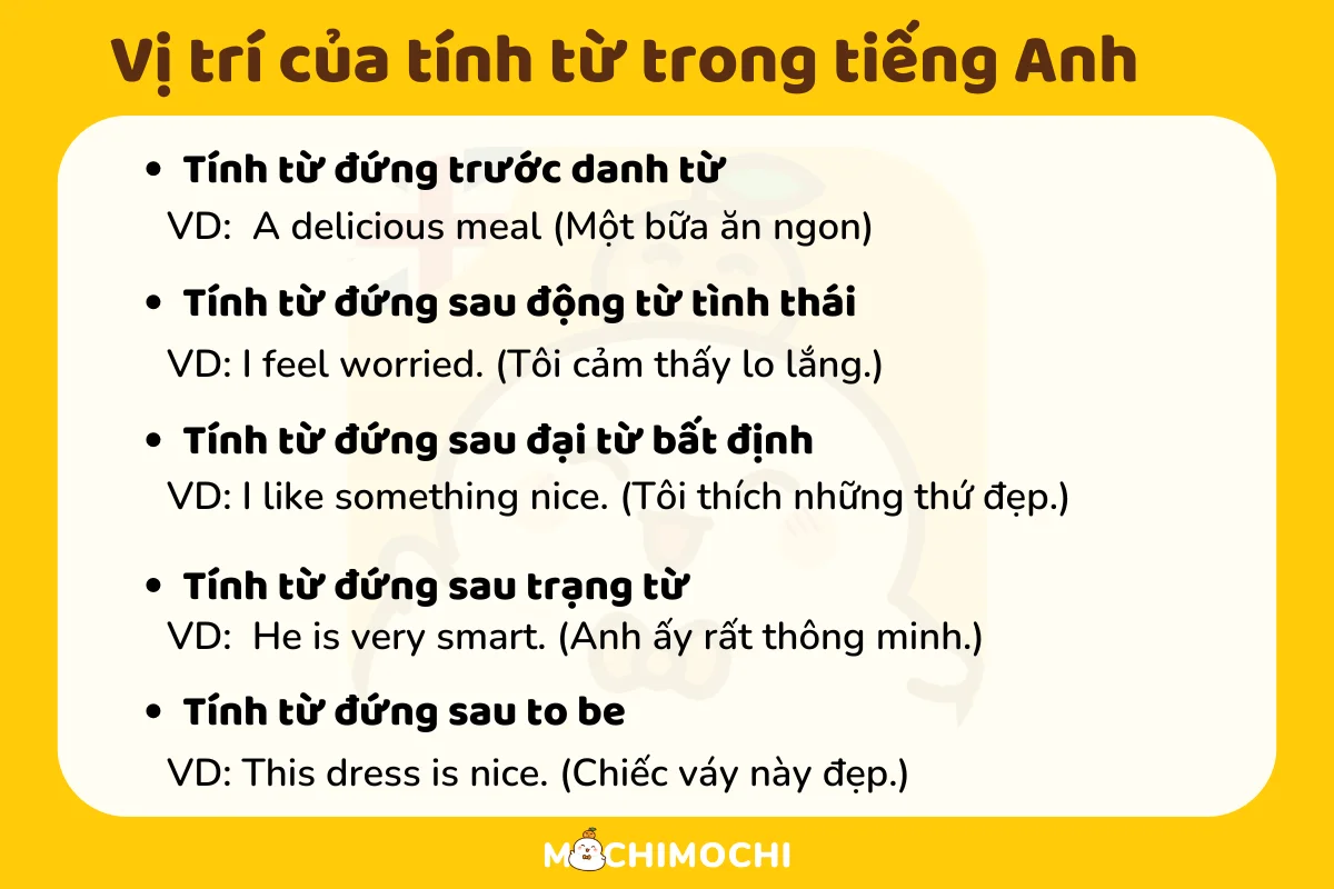 Tính từ tiếng anh đứng ở đâu? Tránh 3 sai lầm vị trí phổ biến!