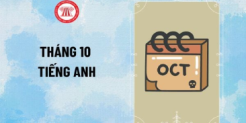 Khu vui chơi cho trẻ em tiếng anh là gì? Giải đáp thắc mắc cùng tên gọi phổ biến!