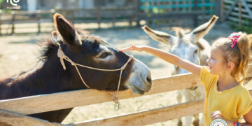 Dạy tiếng anh dành cho trẻ em 5 tuổi bố mẹ cần biết điều gì (6 lỗi phổ biến cần tránh)