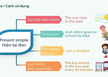 cách chia động từ trong tiếng anh lớp 7 thì hiện tại đơn làm sao cho đúng