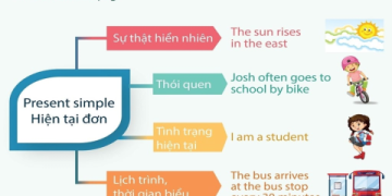 cách chia động từ trong tiếng anh lớp 7 thì hiện tại đơn làm sao cho đúng